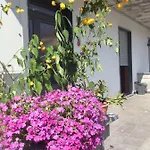 La Magnolia *