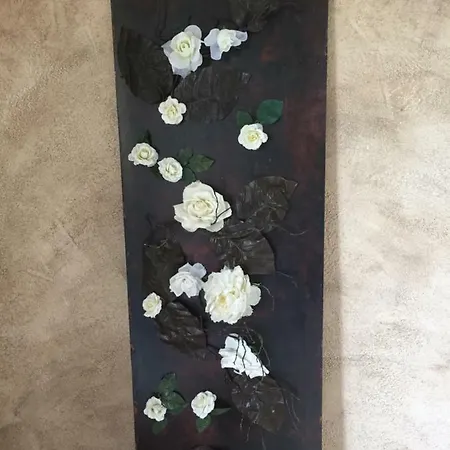 La Magnolia * Riccò del Golfo di Spezia