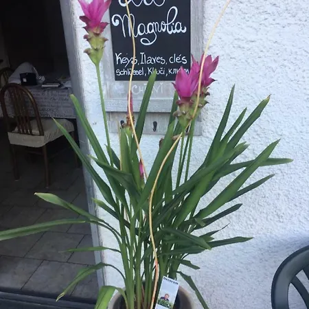 La Magnolia شقة