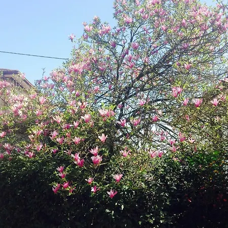 Lägenhet La Magnolia Riccò del Golfo di Spezia