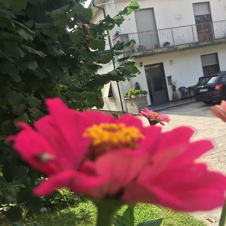 Lägenhet La Magnolia *