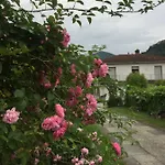 La Magnolia *