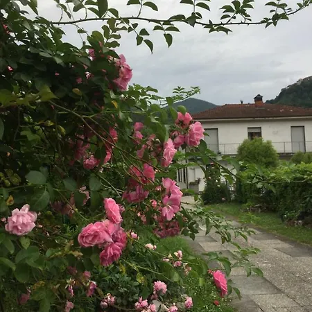 La Magnolia *