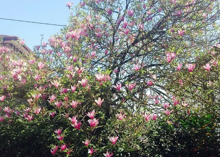 Апартаменты La Magnolia Рикко-дель-Гольфо-ди-Специя