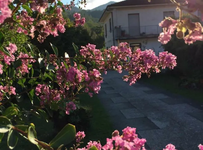 La Magnolia * Riccò del Golfo di Spezia