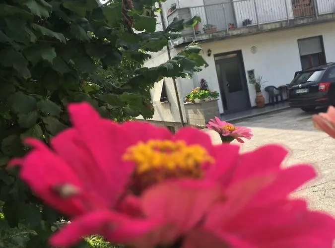 Апартаменты La Magnolia *